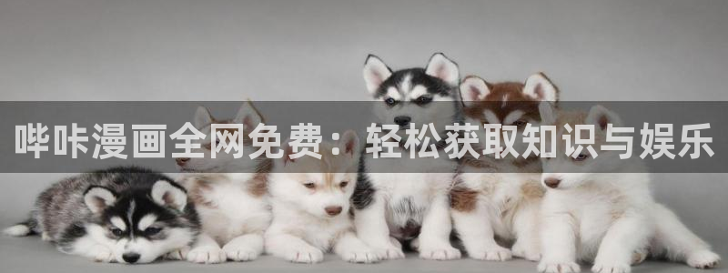 好看的韩国漫画汗汗漫画：哔咔漫画全网免费：轻松获取知识与娱乐